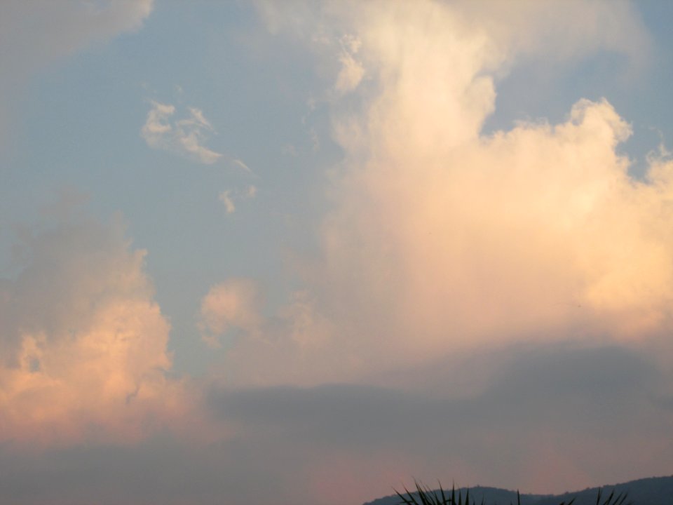 Imagem 009