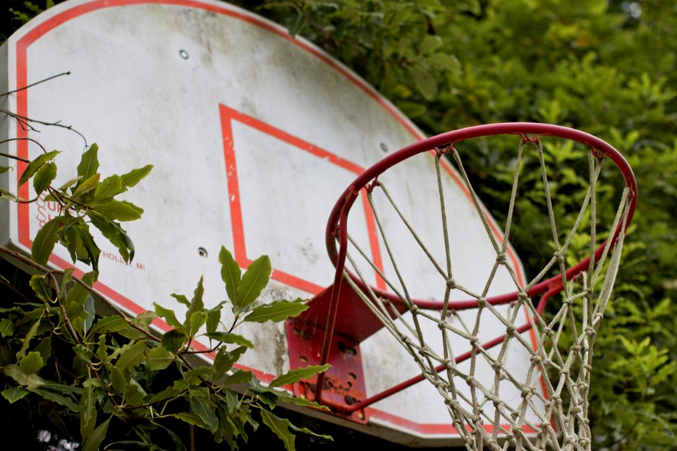 Jungle Ball