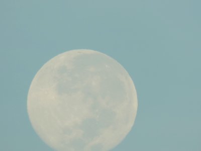 FOTO MÃE TERRA JULHO2018 013