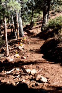Some Fine New Trail Made Today