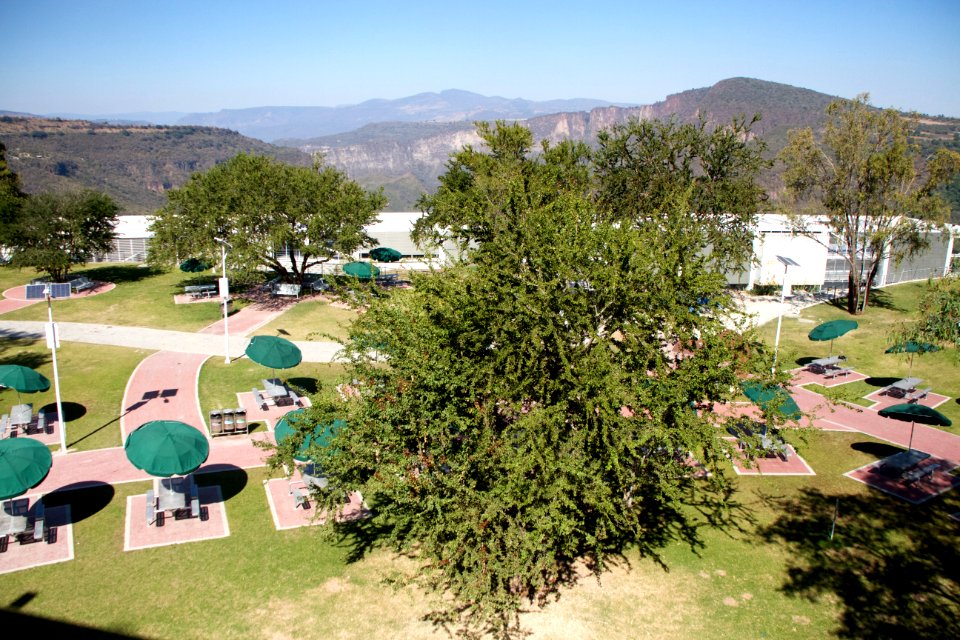 View of the Barrancas from CUAAD Campus, UdG