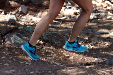Pine Trail Run Photoshoot