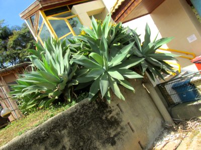 Imagem 035