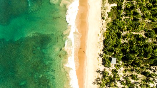 MARCIO FILHO PRAIA DE ALGODOES MARAU BAHIA photo