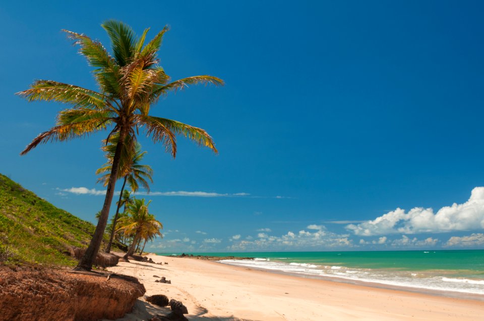 CacioMurilo  PraiaCoqueirinho 04 Conde PB