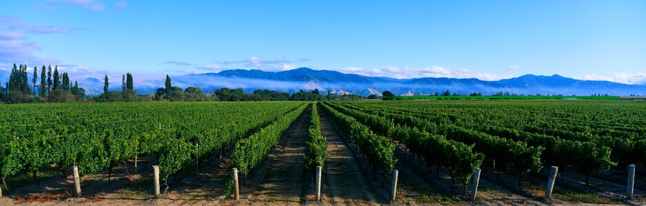 Nature agricultire panorama