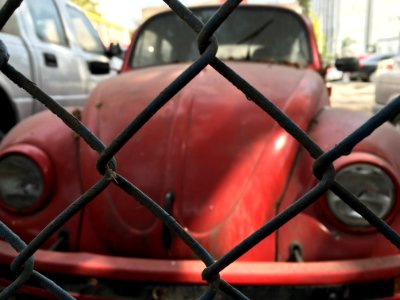 Free The Bug!