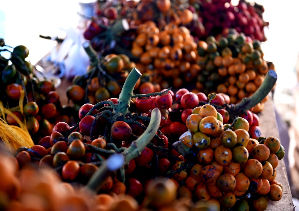 Henrique Fotografo Feira Tradicional PortoVelho RO