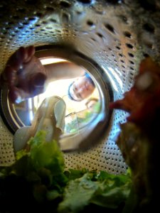 20110506-RD-LSC-0044