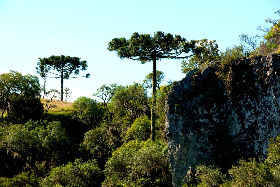Renato Soares Cachoeiras dos Venancios Cambara do Sul RS