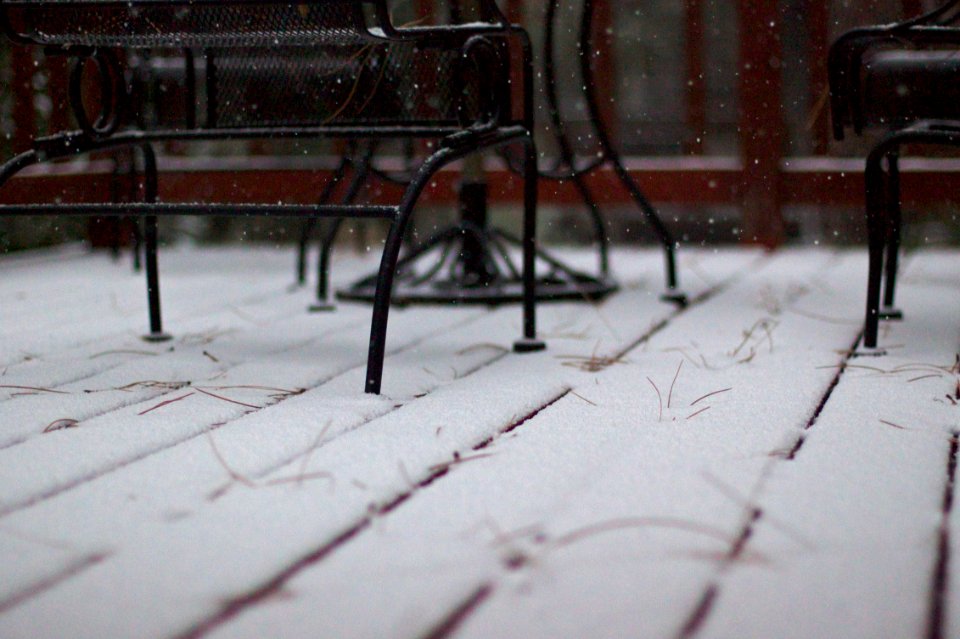 2009/365/301 First Snow!