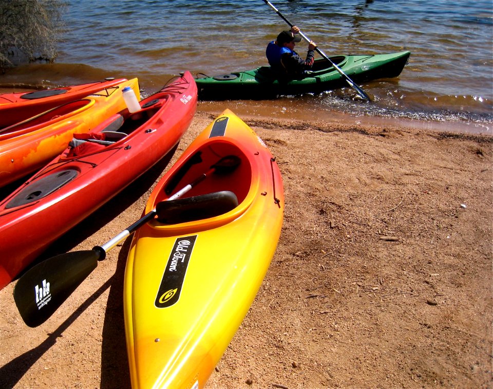 Kayaks Lined Up