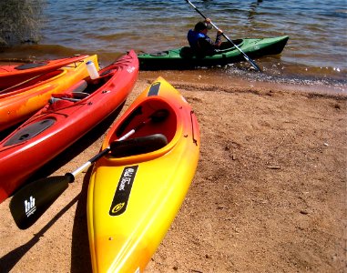 Kayaks Lined Up