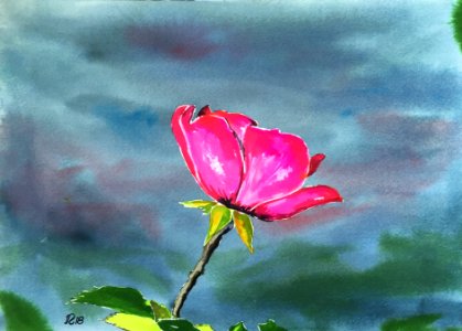 Aquarelle 18-60