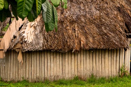 AnaClaudiaJatahy Centro Cultural Povos da Amazônia Manaus AM