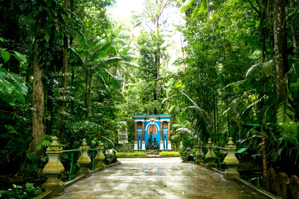 BrunaBrandao Bosque Rodrigues Alves Belem PA