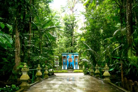 BrunaBrandao Bosque Rodrigues Alves Belem PA