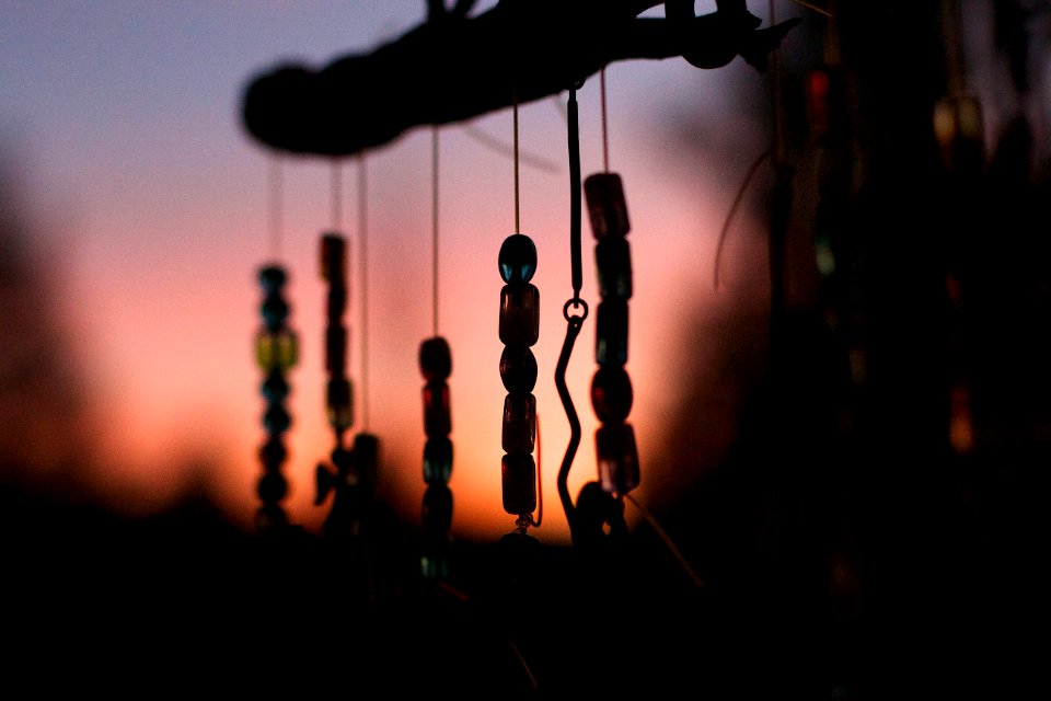 Dangling in Sunset