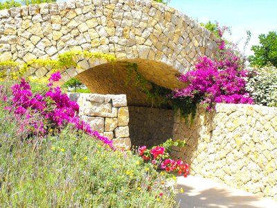 Nature rock stone bridge