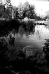 The first days of autumn