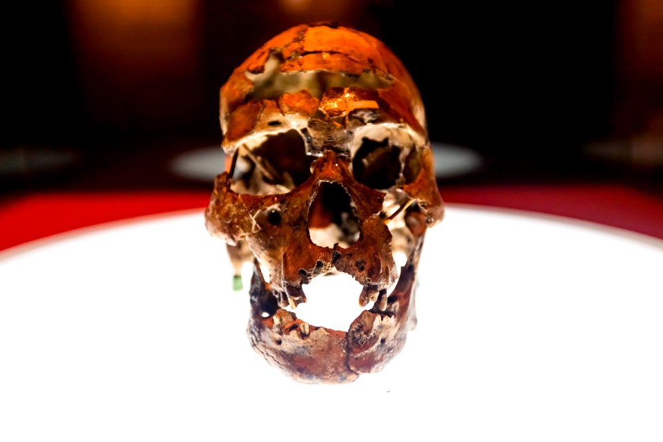 ChicoRasta MuseuDoHomemAmericano SãoRaimundoNonato PI