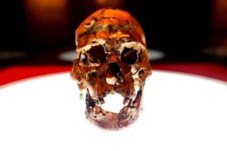 ChicoRasta MuseuDoHomemAmericano SãoRaimundoNonato PI