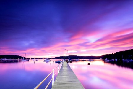 Purple Pier