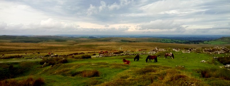 IMG 20200816 091543 Eylesbarrow Tin Mine , Dartmoor National Park, Devon, UK photo