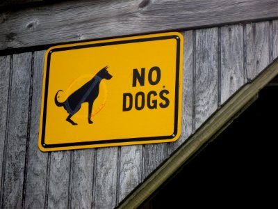 Is Salem Dog Friendly?
