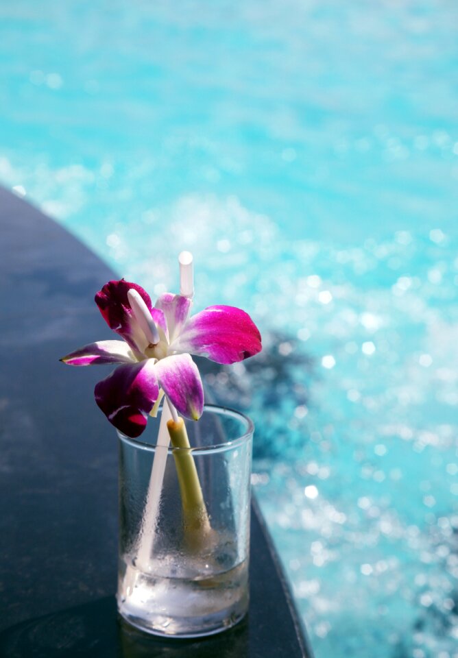 Cup water cup straw