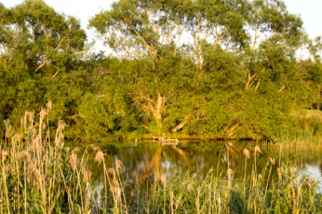 By the river