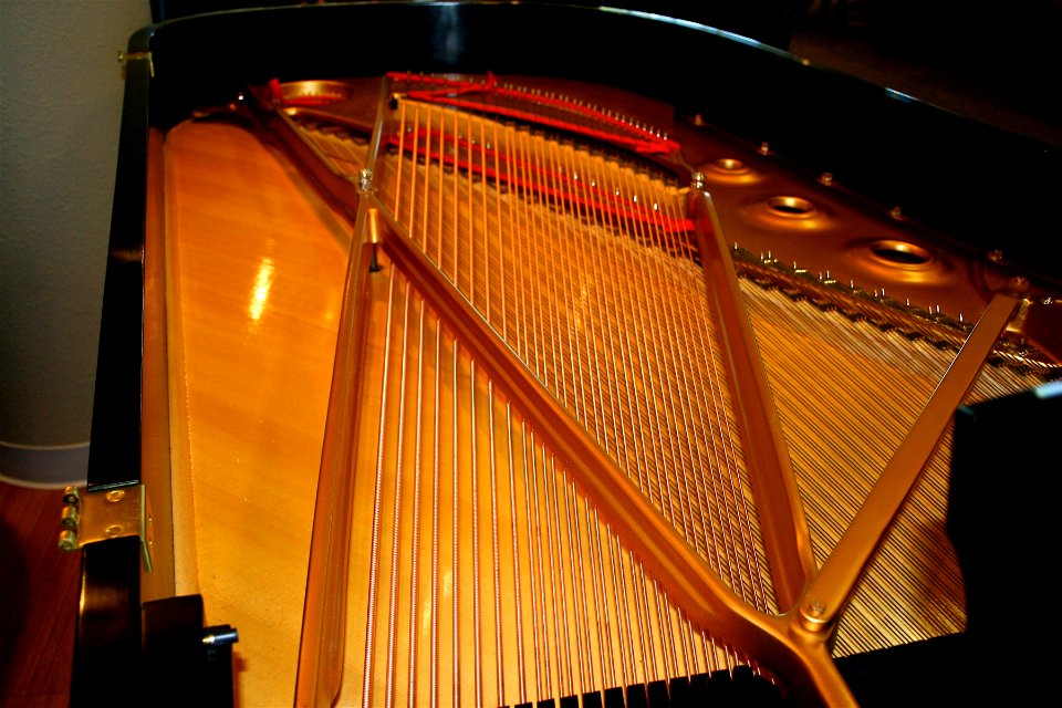 Guts of a Baby Grand