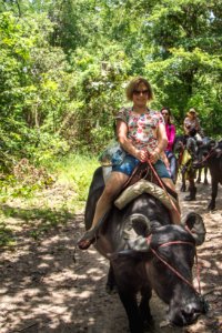 BrunaBrandao FazendaSaoJeronimo Soure PA-5