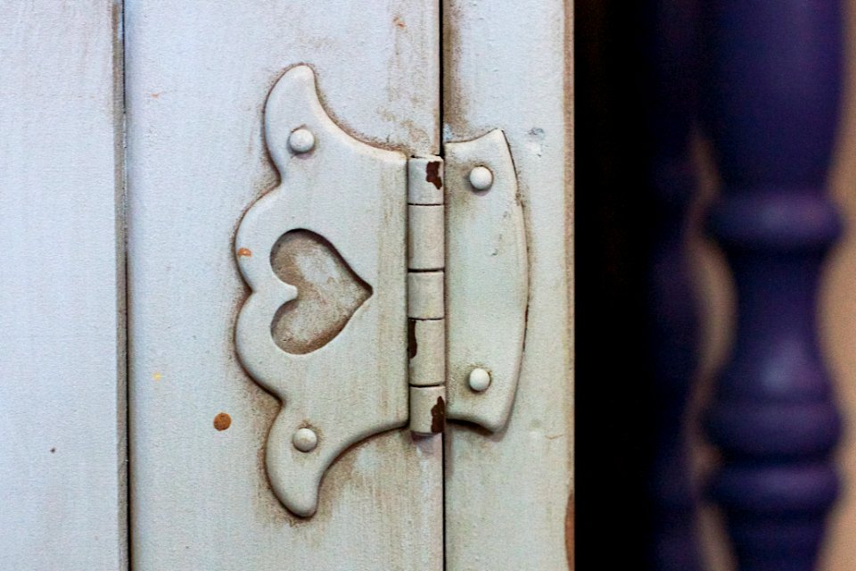 2017/365/231 Love Hinges