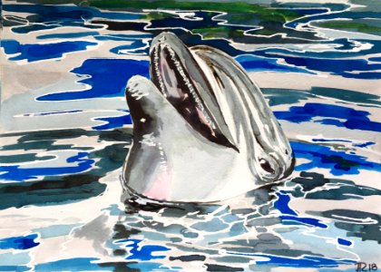 Aquarelle 18-23
