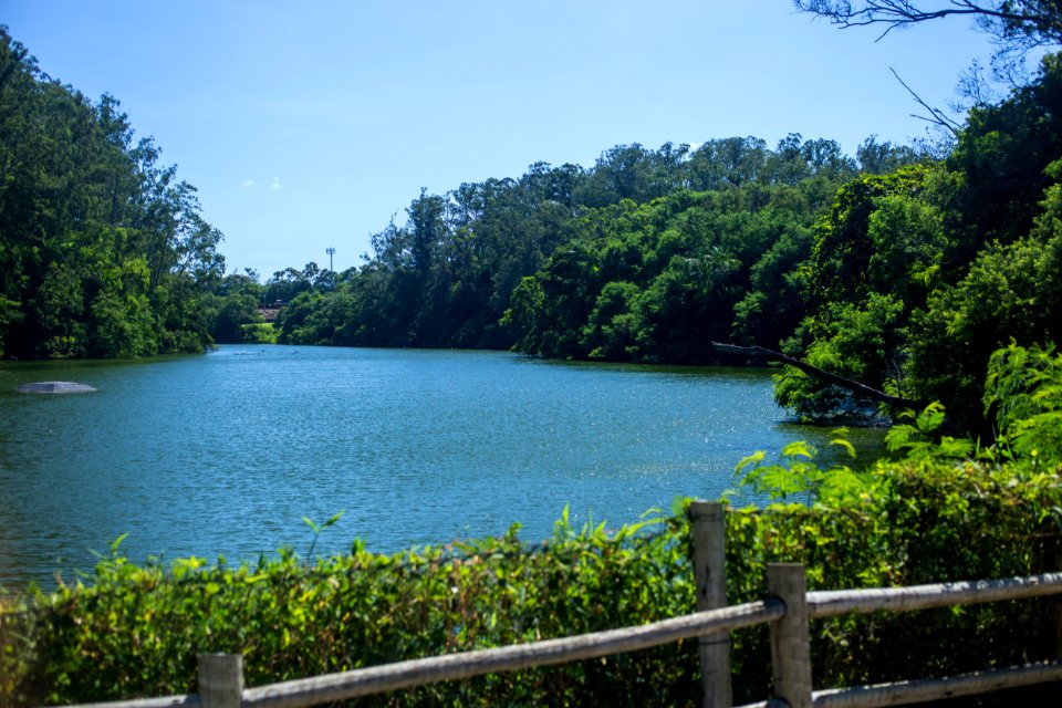 VitorJubini ParqueBotanicoVale Vitoria ES