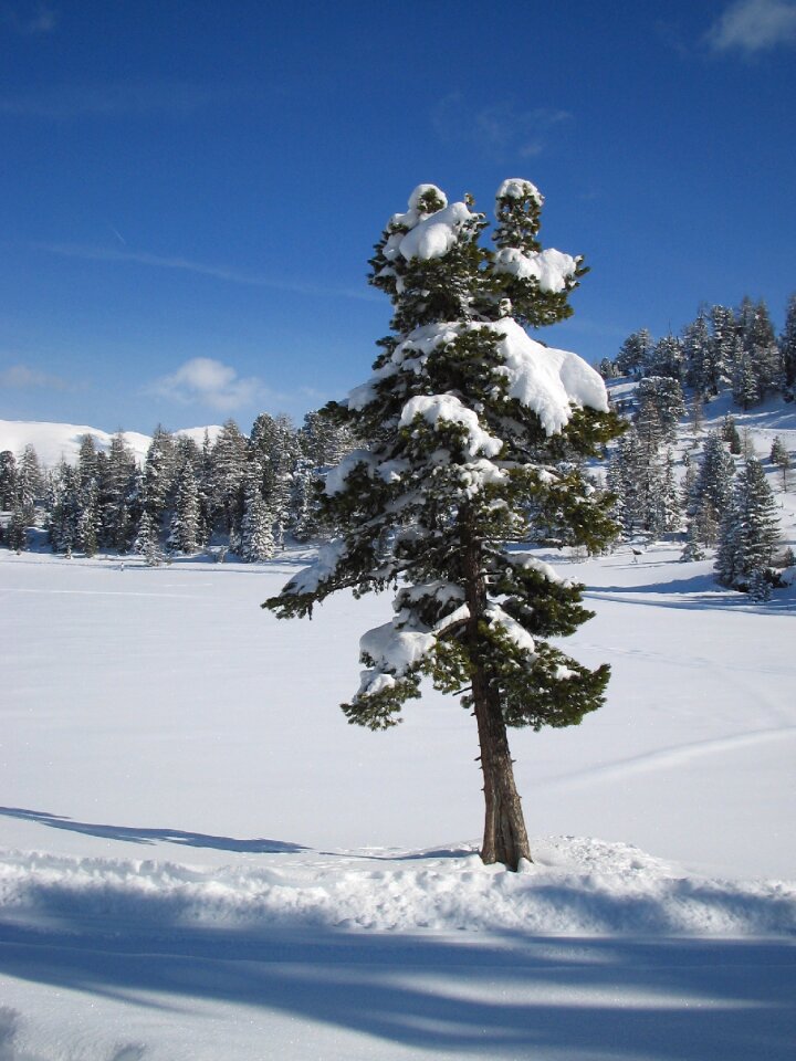 Landscape ice frozen photo