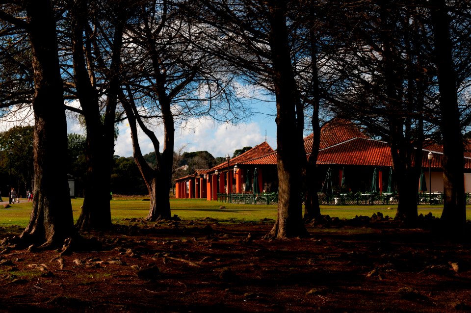RenatoSoares Parque Barigui Curitiba PR