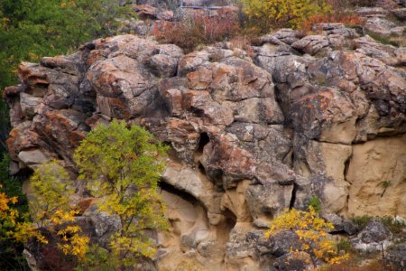 St Victor Petroglyphs
