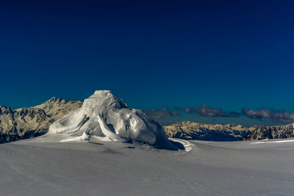 Snow toupee statue