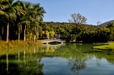 PedroVilela Inhotim Brumadinho MG