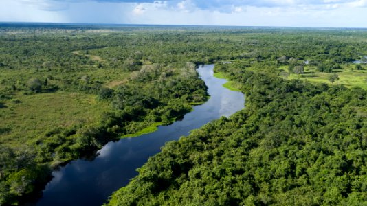 Flavio Andre Pantanal Vista aerea Pocone MT photo