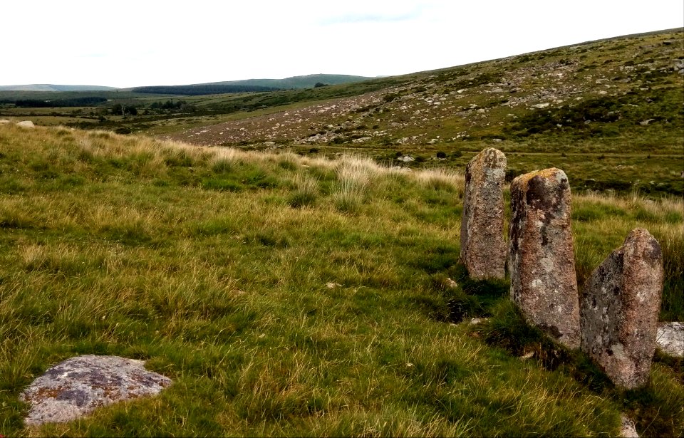 IMG 20200714 153020 Granite Standing Stones , Dam ,  Swincombe Reservoir , Hexworthy , Dartmoor