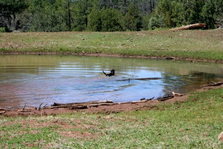 Found Me a Mudhole!