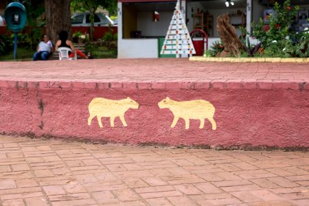 Flávio André Artesanato Praça dos Imigrantes Campo Grande MS