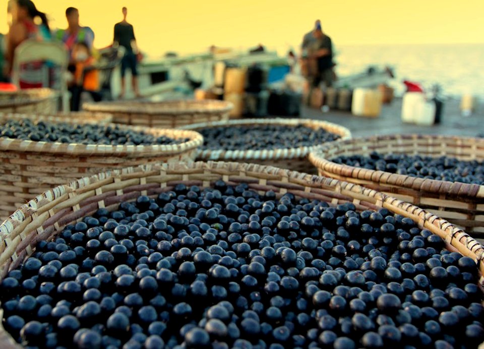 MarciaDoCarmo Gastronomia acai na feira Macapa AP