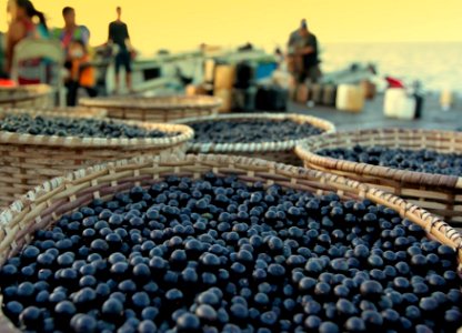 MarciaDoCarmo Gastronomia acai na feira Macapa AP