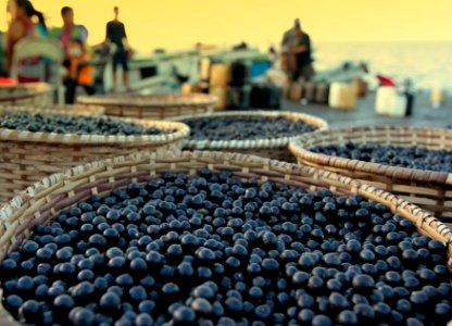 MarciaDoCarmo Gastronomia acai na feira Macapa AP photo