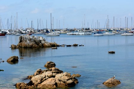 Seal Island