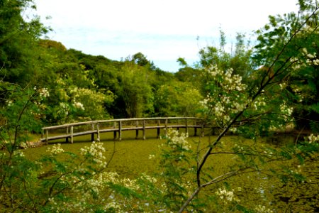 RenatoSoares JardimBotanico PortoAlegre RS